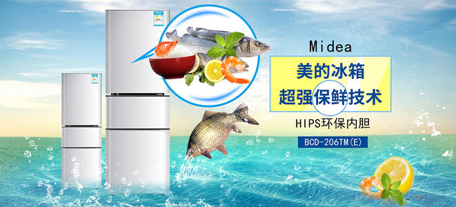 南非护照模板作假